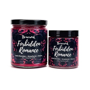 Forbidden Romance Candle- Inspired by Romance Novels- Soy Vegan Candle