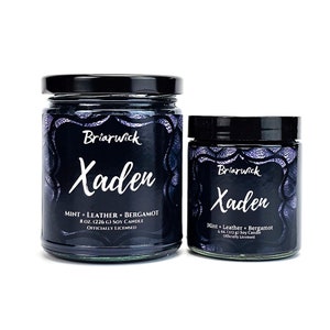 Xaden Candle- Fourth Wing Officially Licensed- Soy Vegan Candle