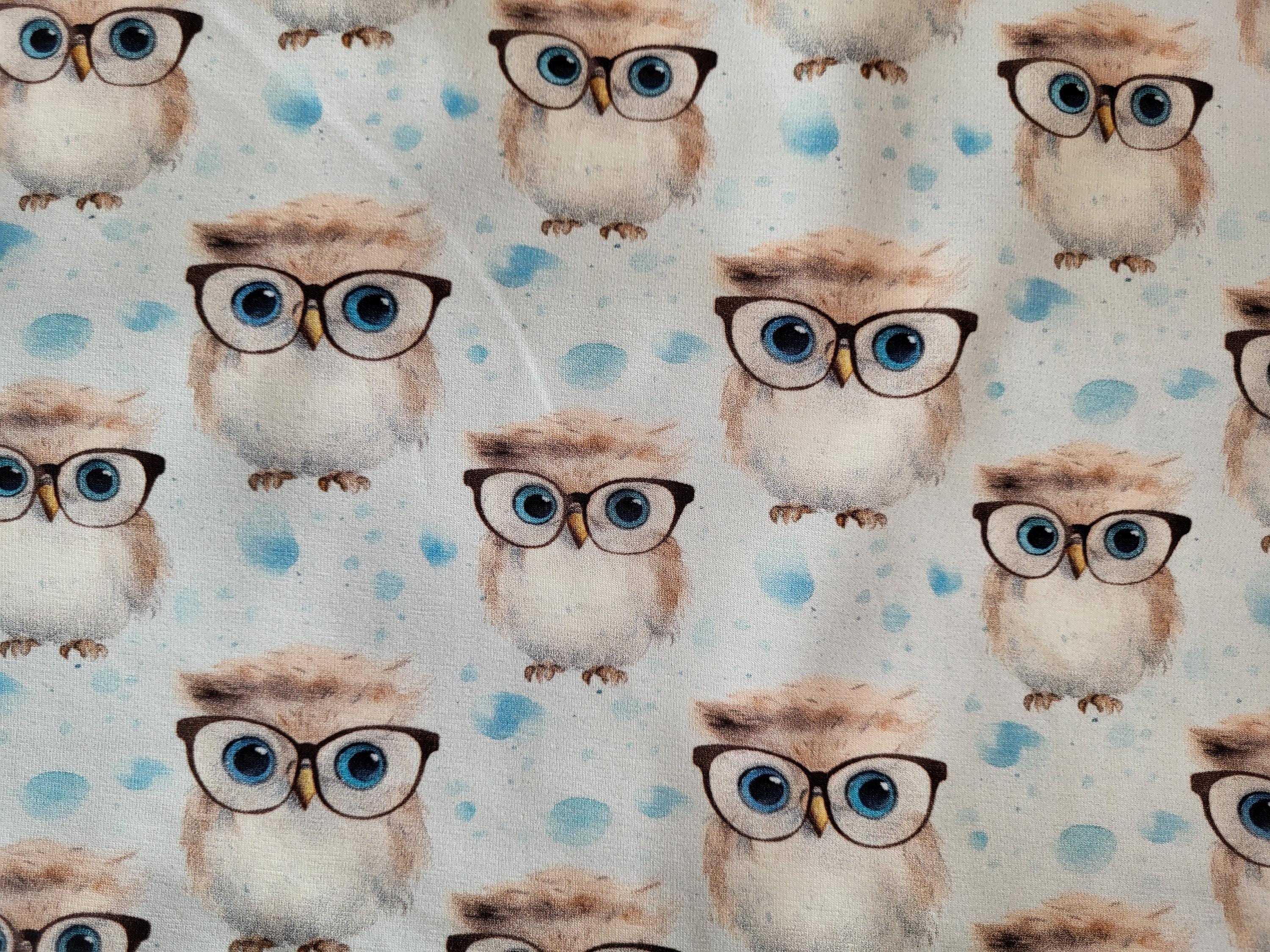 Jersey " Hedwig " schlaue Eule mit Brille, Tiere, hellbraun auf hellblau mit Wassertropfen
