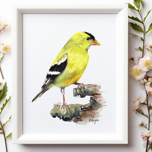 Goldfinch Wall Art PRINT, American Garden Bird, Bird Watching Gift, US Wildlife Art Print from Original Watercolour Painting