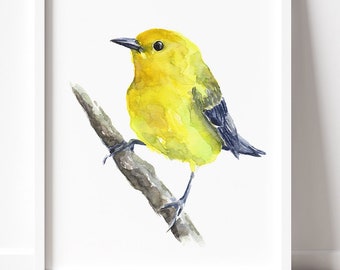 PRINTABLE Warbler Watercolor Art, Yellow Warbler Painting, Garden Bird Decor, Bird Wildlife Poster INSTANT DOWNLOAD