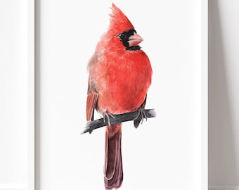 PRINTABLE Cardinal Bird Watercolor Art, Male Northern Cardinal Painting, Garden Bird Decor, Bird Wildlife Poster INSTANT DOWNLOAD