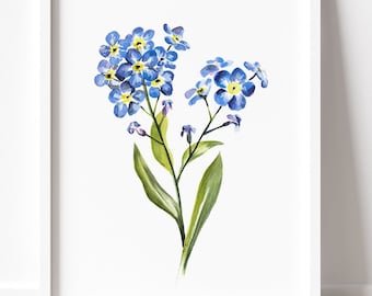 Könnte beinhalten: Gerahmter Aquarelldruck mit blauen Vergissmeinnicht-Blüten mit gelben Zentren und grünen Blättern. Das Kunstwerk ist vor einem weißen Hintergrund in einem weißen Rahmen eingefasst und vermittelt ein Gefühl zarter Schönheit.