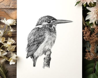 ORIGINAL Kingfisher Pencil Drawing, Fresh Water Bird Wall Art, Nature Decor, British Wildlife, Original Pencil Sketch Artwork Unframed
