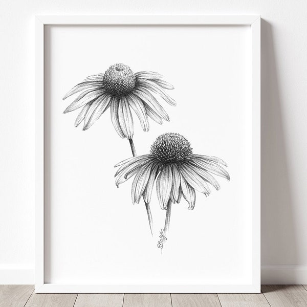PRINTABLE Coneflower Art Print, Graphite Pencil Drawing, Botanical Wall Art, Wild Flower Sketch, Nature Poster INSTANT DOWNLOAD