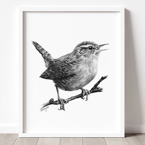 PRINTABLE Wren Art Print, Wren Pencil Drawing Wall Art, Garden Bird Sketch, Jenny Wren Wildlife Poster INSTANT DOWNLOAD