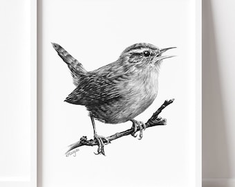 PRINTABLE Wren Art Print, Wren Pencil Drawing Wall Art, Garden Bird Sketch, Jenny Wren Wildlife Poster INSTANT DOWNLOAD