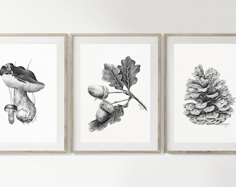 Conjunto de 3 impressões de arte de parede de pinha com bolota e cogumelo para impressão, desenho a lápis, arte de parede de outono, pôster de esboço de floresta, download instantâneo