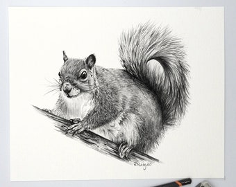 ORIGINAL Squirrel Pencil Drawing, Grey Squirrel Wall Art, Nature Woodland Animal Decor, Original Pencil Sketch Artwork Unframed