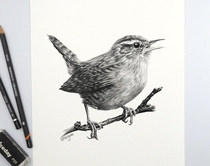 ORIGINAL Wren Pencil Drawing Garden Bird Wall Art Nature - Etsy