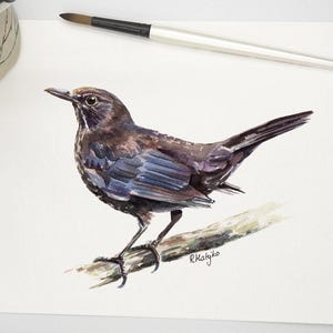 ORIGINAL Blackbird Watercolour Painting, Bird Wall Art, British Wildlife Decor, Garden Bird Watching Gift, Original Artwork Unframed