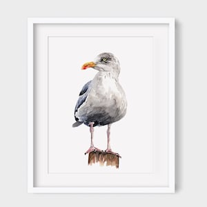 Seagull Art PRINT, Sea Bird Wall Art, Beach House Decor, Print from Original Watercolour Painting Unframed
