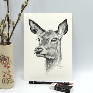 ORIGINAL Deer Pencil Drawing, Cute Deer Wall Art, Woodland Nature Farmhouse Decor, Original Pencil Sketch Artwork Unframed