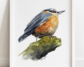 PRINTABLE Nuthatch Watercolor Art, Nuthatch Painting, Garden Bird Decor, Bird Wildlife Poster INSTANT DOWNLOAD