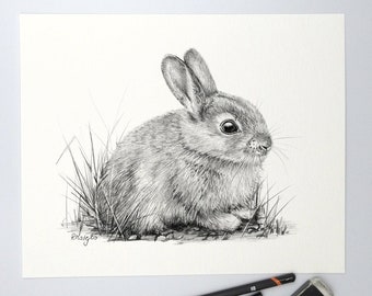 ORIGINAL Baby Rabbit Pencil Drawing, Cute Bunny Wall Art, Nature Woodland Animal Decor, Original Pencil Sketch Artwork Unframed