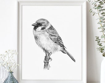 Sparrow Art PRINT, Sparrow Drawing Wall Art, Nature Decor, Garden Bird Unique Gift, Print from Original Pencil Sketch Unframed