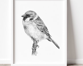 May include: A black and white pencil drawing of a small bird perched on a branch. The bird is facing to the left and has a detailed, realistic appearance.