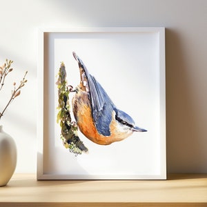 Nuthatch Wall Art PRINT, Garden Bird, Bird Watching Gift, British Wildlife Art Print from Original Watercolour Painting