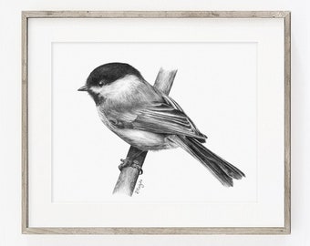 PRINTABLE Chickadee Art Print, Chickadee Pencil Drawing Wall Art, Garden Bird Sketch, Wildlife Poster INSTANT DOWNLOAD