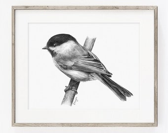 May include: Black and white pencil drawing of a chickadee perched on a branch. The bird is facing left and has a small black cap on its head.