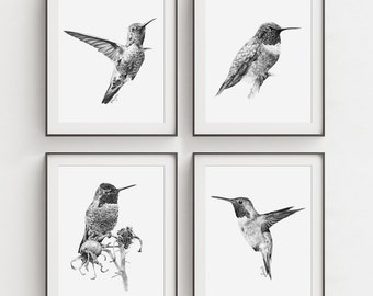 PRINTABLE Hummingbirds Wall Art Print Set of 4, Hummingbirds Pencil Wall Art, Hummingbird Sketch INSTANT DOWNLOAD