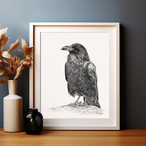 Raven Bird Art PRINT, Pencil Drawing Wall Art, Corvid Crow Bird Print from Original Pencil Sketch Unframed