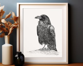Raven Bird Art PRINT, Pencil Drawing Wall Art, Corvid Crow Bird Print from Original Pencil Sketch Unframed