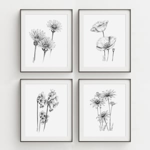 Wildflowers Wall Art PRINT Set of 4, Graphite Pencil Drawing, Meadow Flowers Botanical Wall Art, Print from Original Pencil Sketch Unframed