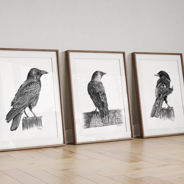 Corvids Wall Art PRINT Set of 3, Raven Jackdaw Magpie Birds Pencil Wall Art, Corvid Sketch Prints from Original Art Unframed