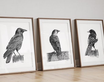 Corvids Wall Art PRINT Set of 3, Raven Jackdaw Magpie Birds Pencil Wall Art, Corvid Sketch Prints from Original Art Unframed