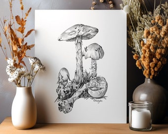 ORIGINAL Mushroom Pencil Drawing, Destroying Angel, Fungi Wall Art, Forest Woodland Nature Decor, Cottagecore Art Sketch Unframed