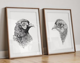 Pheasants Bird Art PRINT Set of 2, Pheasant Pencil Drawing Wall Art, Game Birds Sketch, Woodland Prints from Original Pencil Sketch Unframed