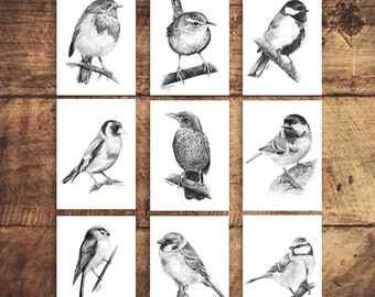 SIGNED ACEO Collection of 9 Mini Bird Prints, Pencil Drawing Trading Cards, British Garden Bird Themed Set of Atc, COLLECTABLE
