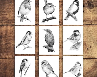 SIGNED ACEO Collection of 9 Mini Bird Prints, Pencil Drawing Trading Cards, British Garden Bird Themed Set of Atc, COLLECTABLE