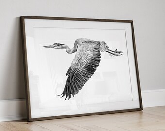 Heron Bird Art PRINT, Great Blue Heron Pencil Drawing Wall Art, Wading Bird Unique Gift, Print from Original Pencil Sketch Unframed