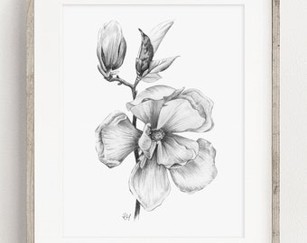 Magnolia Art PRINT, Flower Pencil Drawing Wall Art, Nature Decor, Floral Sketch Unique Gift, Print from Original Pencil Sketch Unframed