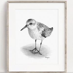 DRUCKBARE Sanderling Art Print, Strandläufer Bleistift Zeichnung Wandkunst, Küsten Watvogel Skizze, Sealife Wildlife Poster SOFORT DOWNLOAD