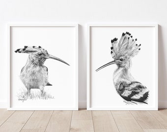 PRINTABLE Hoopoe Birds Wall Art, Hoopoe Couple Drawing, Garden Bird Decor, Bird Wildlife Poster, Couples Bedroom Art  INSTANT DOWNLOAD