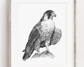 印刷可能なハヤブサのアートプリント、猛禽類のウォールアート、印刷可能な鷹狩りの鳥のスケッチ野生動物のポスター装飾、即時ダウンロード