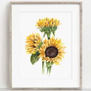 Sunflowers Art PRINT, Garden Flower Watercolor Painting Wall Art, Print from Original Watercolour Painting Unframed image 4