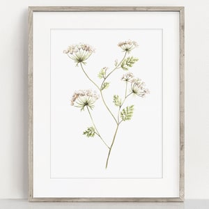 PRINTABLE Queen Anne&#39;s Lace Art - Watercolor Wild Flower Painting, Botanical Home Decor, Garden Plant Farmhouse Decor Instant Download AC412