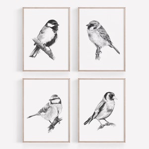 IMPRIMIBLE Garden Birds Wall Art Print Set de 4, Dibujos a lápiz de grafito, British Birds Wall Art, Bird Sketch Poster Descarga instantánea