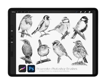 Pinceaux de timbres d’oiseaux pour procréer + Photoshop, grands timbres détaillés dessinés à la main, timbres réalistes de croquis d’oiseaux de jardin - TÉLÉCHARGEMENT INSTANTANÉ