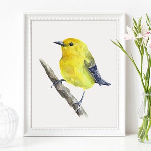 Warbler Art PRINT, Bird Watercolour Painting Wall Art, Garden Bird Decor, Print from Original Watercolour Painting Unframed afbeelding 1