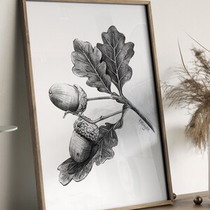 Acorn Art PRINT, Nut Graphite Pencil Drawing, Woodland Decor, Autumn Sketch, Autumn Nature Print from Original Pencil Sketch Unframed image 2