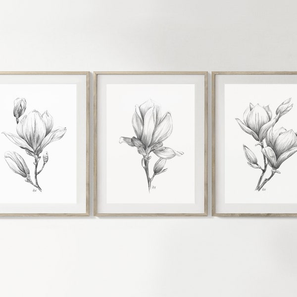Magnolia Art PRINT Set of 3, Flower Wall Art, Nature Decor, Floral Sketch, Prints from Original Pencil Drawings Unframed