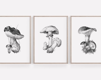 AFDRUKBARE Mushroom Art Print Set van 3, Graphite Pencil Drawing, Autumn Fall Botanical Wall Art, Woodland Sketch Poster Instant Download