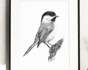 PRINTABLE Chickadee Art Print, Chickadee Pencil Drawing Wall Art, Garden Bird Sketch, Wildlife Poster INSTANT DOWNLOAD