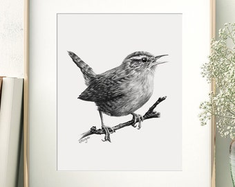 Wren Bird Art PRINT, Wren Pencil Drawing Wall Art, Garden Bird Jenny Wren Nature Decor, Print from Original Pencil Sketch Unframed