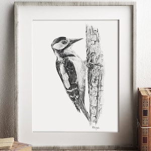 Woodpecker Art PRINT, Woodpecker Pencil Drawing Wall Art, Nature Decor, Bird Unique Gift, Print from Original Pencil Sketch Unframed